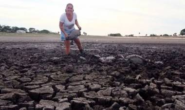 SEQUÍA EN CORRIENTES: FAMILIA RESCATÓ A 70 TORTUGAS CUBIERTAS DE BARRO EN UNA LAGUNA QUE SE SECÓ