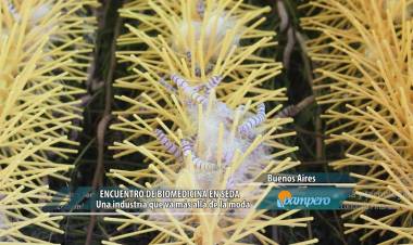 BUENOS AIRES: ENCUENTRO DE BIOMEDICINA EN SEDA 