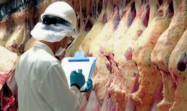 MERCADOS: CARNE, BALANCE Y EXPECTATIVAS
