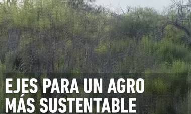 BIODIVERSIDAD: EJES PARA UN AGRO MÁS SUSTENTABLE 