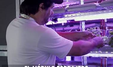 AGTECH: HIDROPONÍA MÁS ALLÁ DE LAS VERDURAS