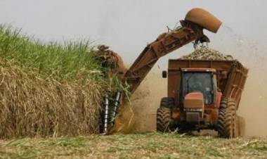 ESTE MARTES COMIENZA LA ZAFRA 2023 EN TUCUMÁN