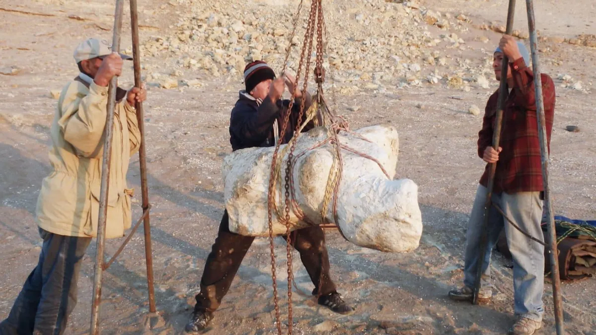 PRESENTAN LOS FÓSILES DEL ANIMAL MÁS GRANDE DEL MUNDO HALLADO EN PERÚ