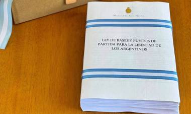 RESUMEN: LOS 30 PUNTOS CENTRALES DEL PROYECTO DE LEY ÓMNIBUS QUE ENVIÓ MILEI AL CONGRESO