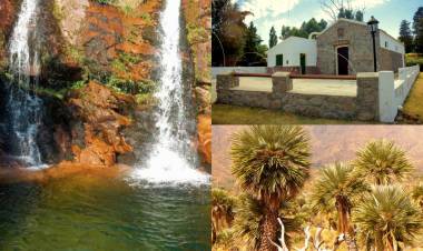 PAPAGAYOS: UN CAMINO POR LA MAGIA DE LAS SIERRAS Y SUS PALMERAS EN LA PROVINCIA DE SAN LUIS