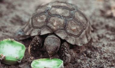 TURISMO VERDE EN SAN LUIS: AMBIENTE ANUNCIÓ LOS HORARIOS DE MARZO A JUNIO DE LAS RESERVAS NATURALES