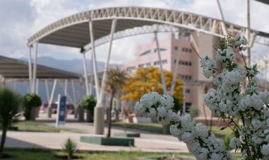 EQUINOCCIO 2025: EL 22 DE SEPTIEMBRE COMENZARÁ LA PRIMAVERA