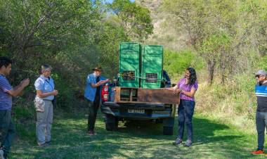 LIBERARON NUEVE REYES DEL BOSQUE EN LA RESERVA QUEBRADA DE LAS HIGUERITAS