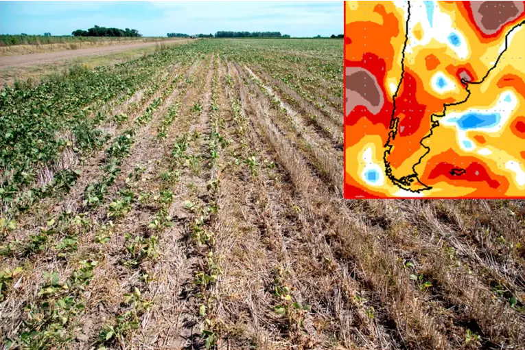 ALERTAN POR UN “PULSO SECO” DE LA NIÑA Y RIESGO PARA CULTIVOS EN ARGENTINA