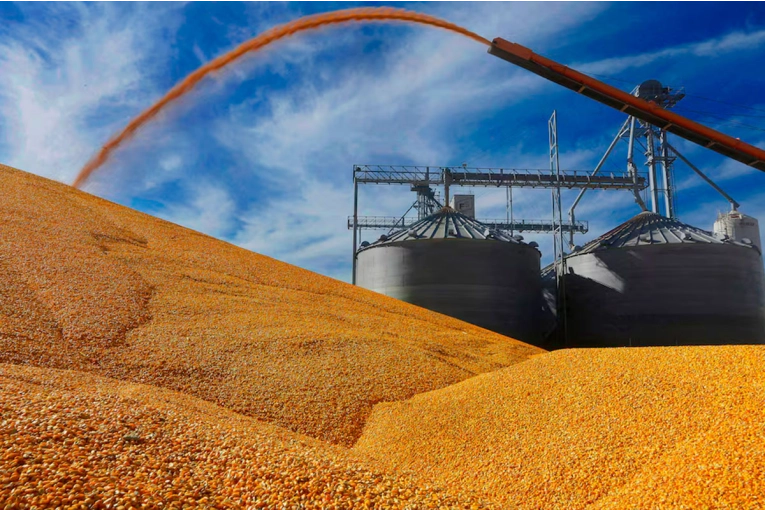 GOBIERNO REDUCE RETENCIONES PARA GRANOS Y APUNTA A MEJORAR COMPETITIVIDAD