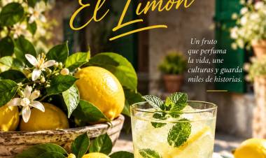 El rey de los cítricos: la increíble historia del limón que conquistó cocinas, culturas y territorios