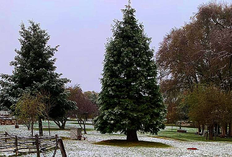 NEVÓ EN SAN LUIS POR PRIMERA VEZ EN EL AÑO
