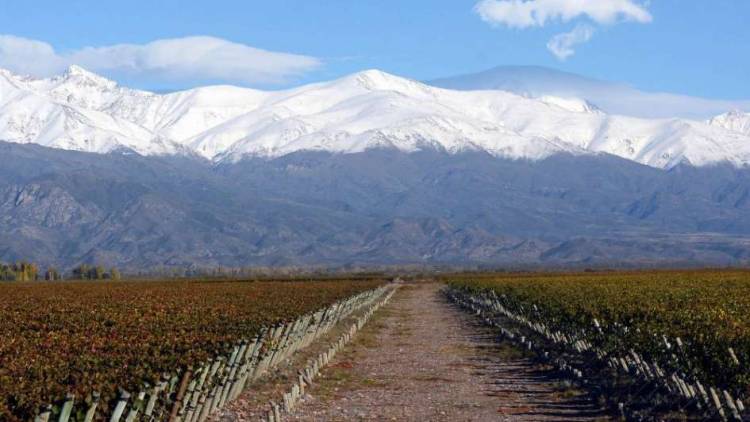 MENDOZA: UNO DE LOS DESTINOS NACIONALES MÁS ELEGIDOS EN VACACIONES DE INVIERNO