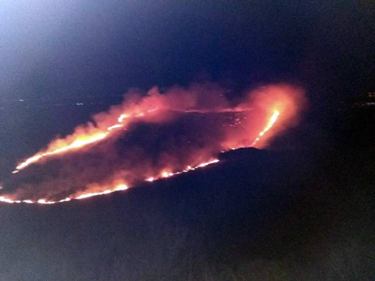 SAN LUIS: COMBATEN UN INCENDIO EN LA ZONA DE ESTANCIA GRANDE