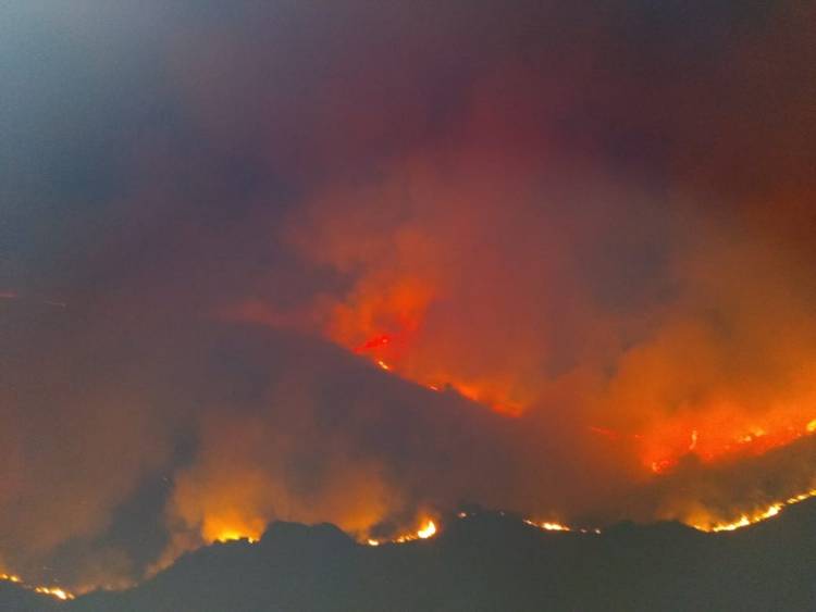 EN SAN LUIS EL FUEGO AHORA SE MANTIENE EN DOS FRENTES, SIGUE EL COMBATE CONTRA UN INCENDIO FORESTAL ENTRE ESTANCIA GRANDE Y POTRERO DE LOS FUNES