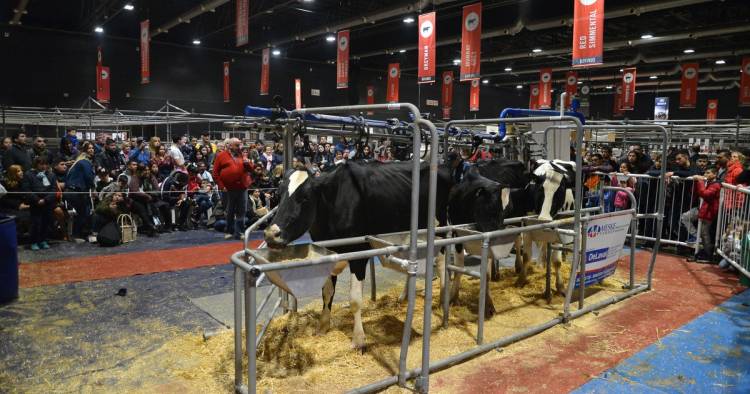 PALERMO: LA MAGIA DEL TAMBO Y DE UNA GRANJA INTERACTIVA, ATRACCIONES DEL PRIMER DOMINGO EN LA RURAL