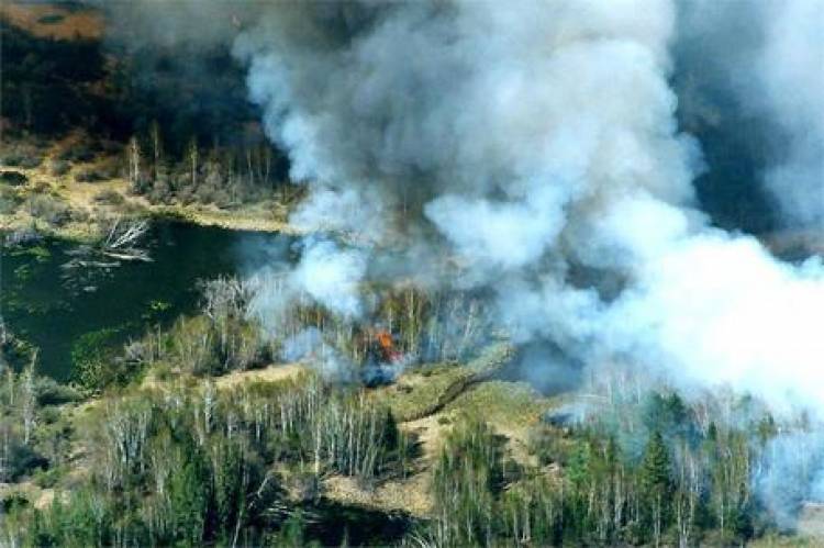 TRUMP LE OFRECIÓ AYUDA A PUTIN PARA APAGAR LOS INCENDIOS EN SIBERIA