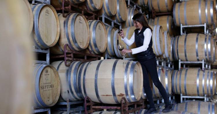 PROMOCIONAN EL VINO ARGENTINO EN BRASIL