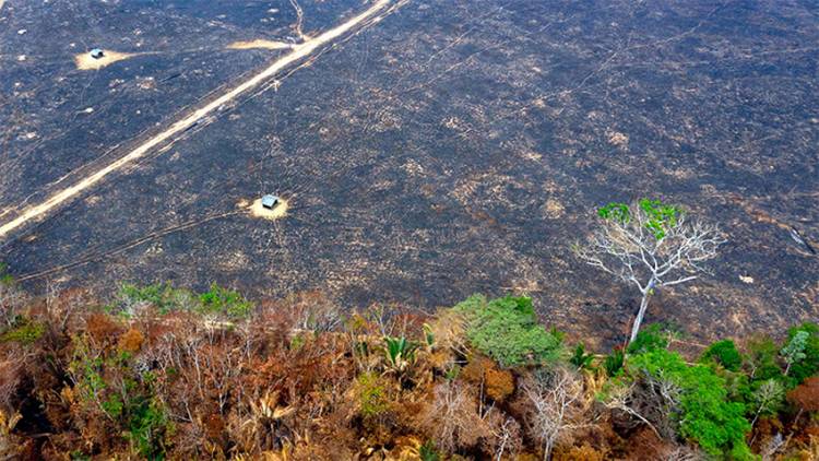 BRASIL RECHAZA AYUDA DEL G7, ASEGURA QUE LOS INCENDIOS EN EL AMAZONAS ESTÁN "BAJO CONTROL"
