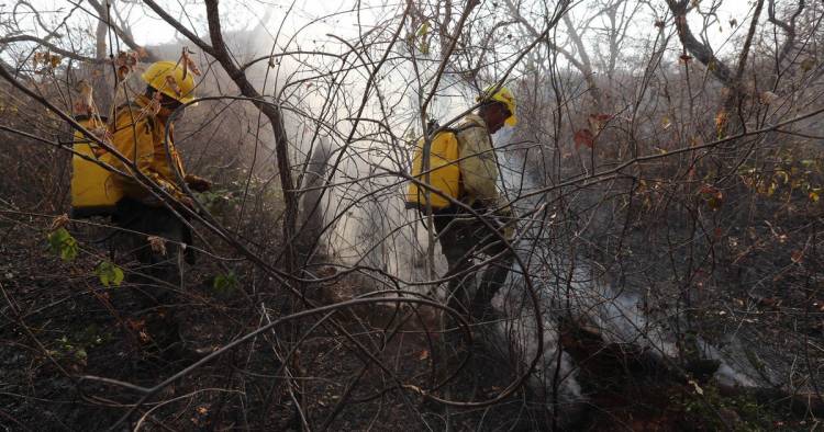 ENVÍAN A 200 BRIGADISTAS ARGENTINOS A COMBATIR LOS INCENDIOS EN BOLIVIA