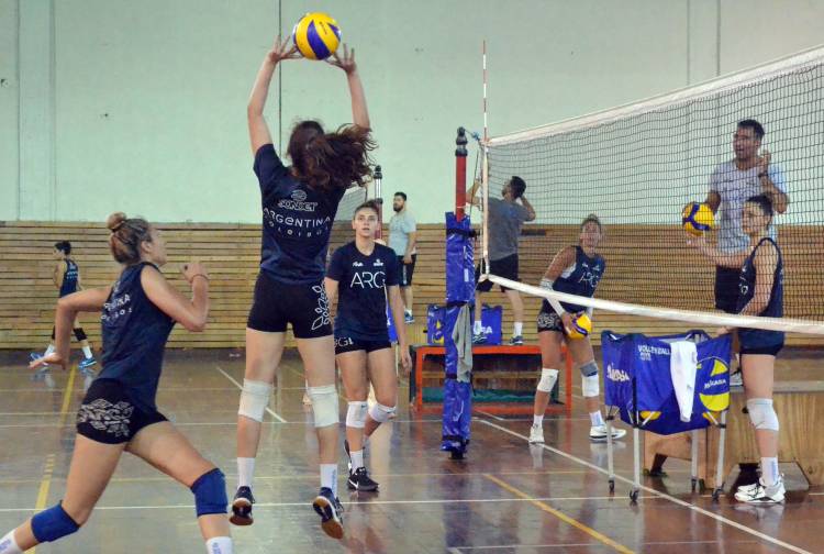 CUENTA REGRESIVA Y EQUIPO CONFIRMADO DE LAS PANTERAS PARA EL PREOLÍMPICO DE COLOMBIA, BUSCANDO CLASIFICAR A TOKIO 2020