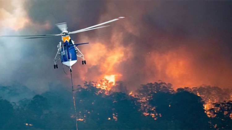 INCENDIOS EN AUSTRALIA: MILES DE PERSONAS HUYEN DEL FUEGO, HAY CINCO MILLONES DE HECTÁREAS ARRASADAS