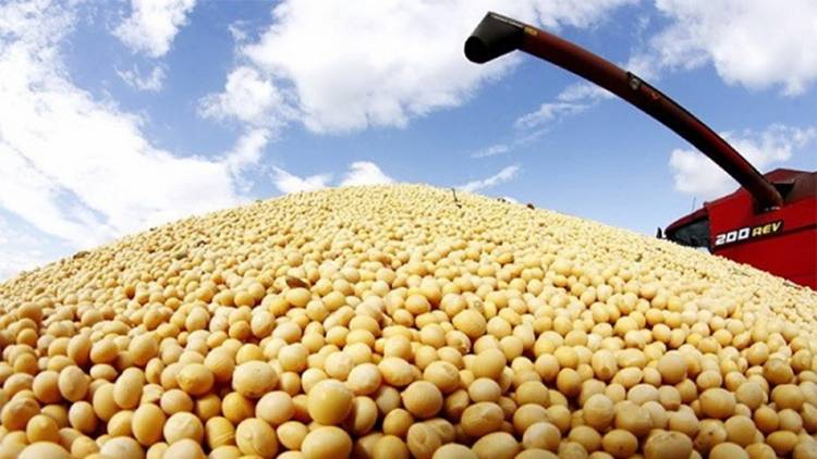 SANTA FE: EN LA BOLSA DE COMERCIO DE ROSARIO, LA SOJA ALCANZÓ SU VALOR MÁS ALTO EN 14 MESES