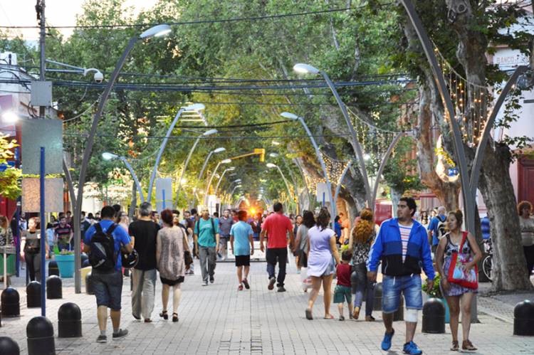 LAS VENTAS MINORISTAS CAYERON 11,6% EN 2019, SEGÚN LA CONFEDERACIÓN ARGENTINA DE LA MEDIANA EMPRESA