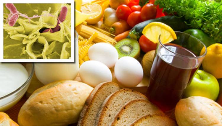 BROTE DE SALMONELLA EN SALTA 