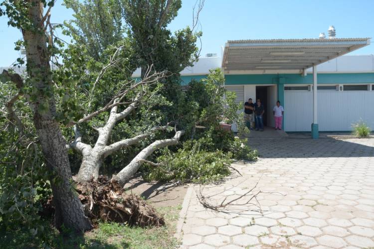 SAN LUIS: UN TEMPORAL AFECTÓ A LA LOCALIDAD DE BUENA ESPERANZA Y SE TRABAJA PARA SOLUCIONAR LOS INCONVENIENTES OCASIONADOS