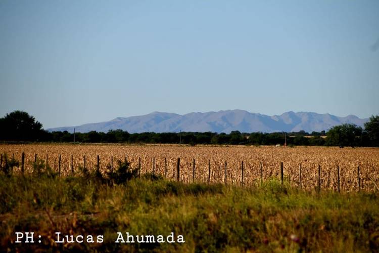 EL VERANO HACE UNA PAUSA, LA SEMANA TERMINA FRESCA Y ALGO VENTOSA EN LA PROVINCIA DE SAN LUIS