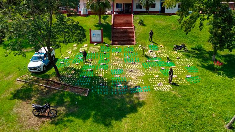 EN MISIONES SECUESTRAN CASI UNA TONELADA DE MARIHUANA ESCONDIDA Y  ABANDONADA EN LA VEGETACIÓN 