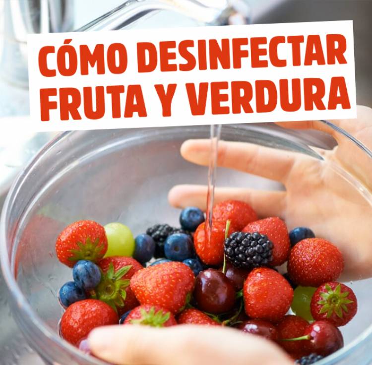 HIGIENE Y SEGURIDAD DE LA COCINA Y LOS ALIMENTOS