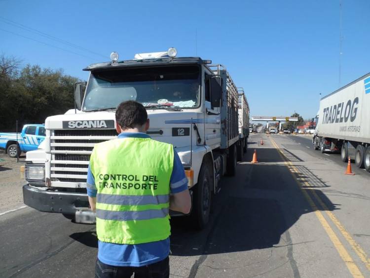 A NIVEL NACIONAL ESTABLECIERON NUEVO PROTOCOLO PARA EL TRANSPORTE: TOMARÁN TEMPERATURA A CHOFERES