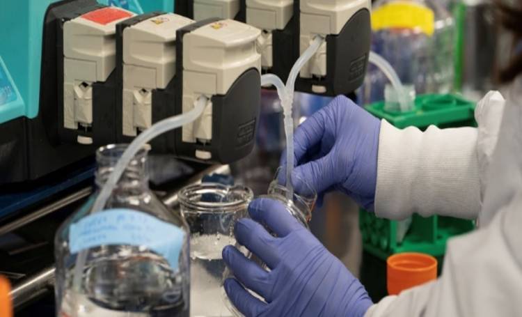 DOS CIENTÍFICOS SALTEÑOS FUERON ELEGIDOS PARA INVESTIGAR SOBRE EL COVID-19