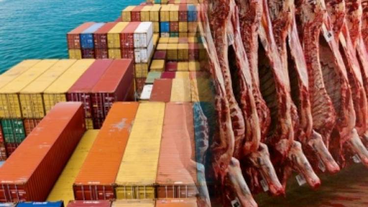 LA EXPORTACIÓN DE CARNE VACUNA CRECIÓ CASI UN 100% EN 12 AÑOS, PERO EL CONSUMO CAYÓ
