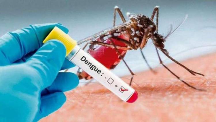 CASI 3.000 CASOS DE DENGUE EN TUCUMÁN EN SU MAYORÍA AUTÓCTONOS