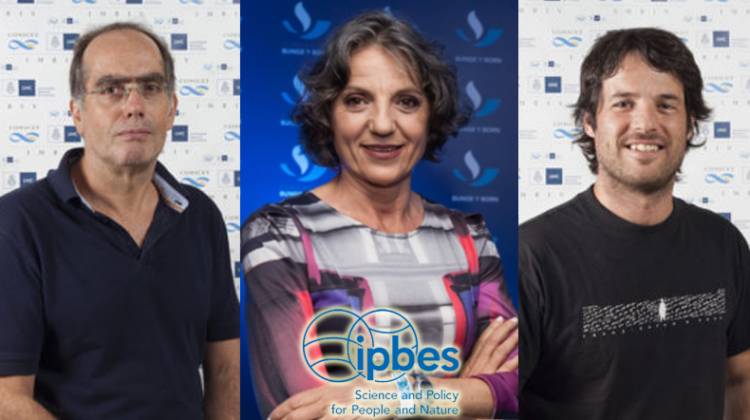 LA PLATAFORMA INTERGUBERNAMENTAL SOBRE BIODIVERSIDAD Y SERVICIOS DE ECOSISTEMAS (IPBES) GANÓ EL PREMIO A LA SOSTENIBILIDAD