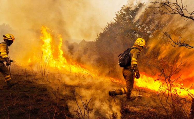 INCENDIOS FORESTALES: JUJUY ES LA ÚNICA PROVINCIA CON UN FOCO ACTIVO DE INCENDIO Y EN SALTA EL FUEGO YA ESTÁ CONTROLADO