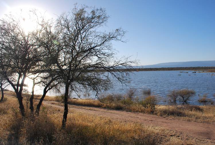 CLIMA EN SAN LUIS: EL VIERNES ESTARÁ SOLEADO Y VENTOSO, PERO EL SÁBADO Y DOMINGO DESMEJORA