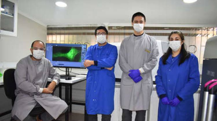 CIENTIFICOS CHILENOS DESCUBRIERON UN "SUPERANTICUERPO" CAPAZ DE NEUTRALIZAR EL CORONAVIRUS