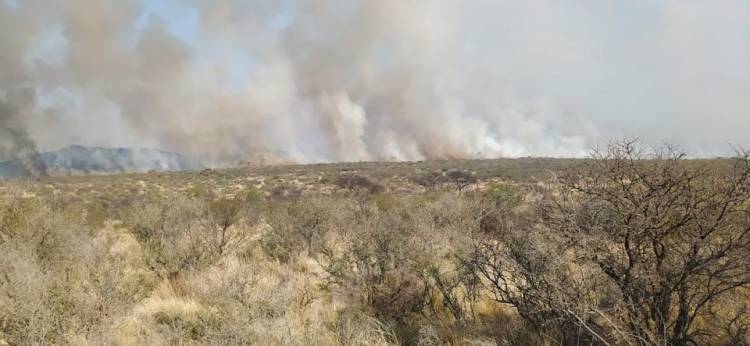 INCENDIOS FORESTALES EN SAN LUIS: CONTINÚAN LOS TRABAJOS PARA CONTROLAR EL FUEGO EN DONOVAN