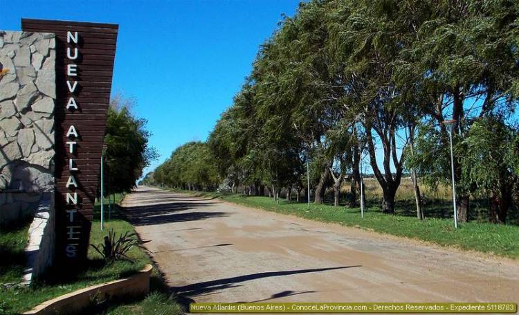 HORROR EN BUENOS AIRES: PARA ROBARLE CERCA DE 100 MIL PESOS MATARON A GOLPES A UNA MUJER DE 80 AÑOS
