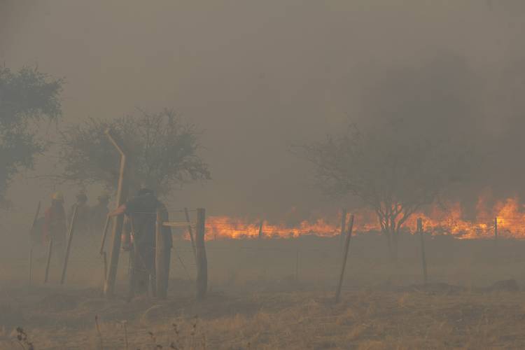 INCENDIOS FORESTALES EN SAN LUIS: UNOS 40 BOMBEROS COMBATEN EL FUEGO ENTRE LOS MOLLES Y VILLA DE LA QUEBRADA