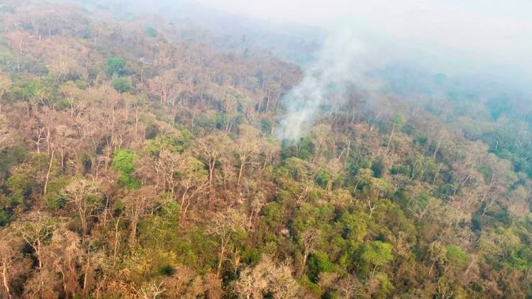 INCENDIOS FORESTALES: PERSISTEN FOCOS ACTIVOS EN SALTA, JUJUY Y LA RIOJA