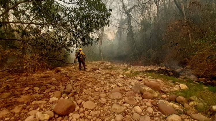 INCENDIOS FORESTALES: SON MÁS DE 18.000 LAS HECTÁREAS QUEMADAS EN LAS YUNGAS JUJEÑAS