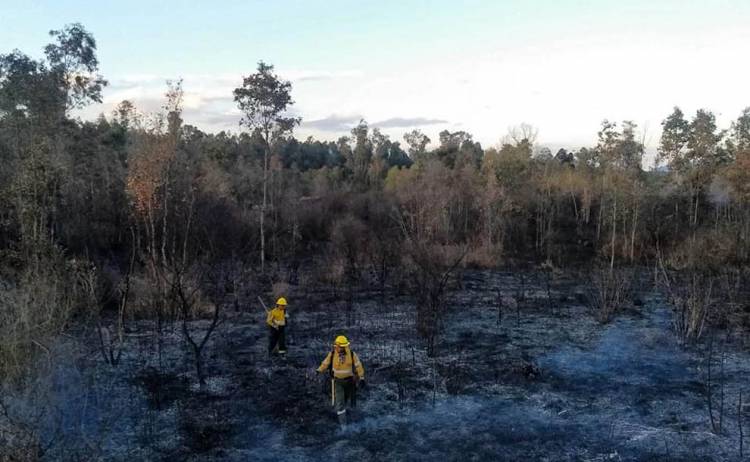 CONTINÚAN ACTIVOS INCENDIOS FORESTALES EN SEIS PROVINCIAS