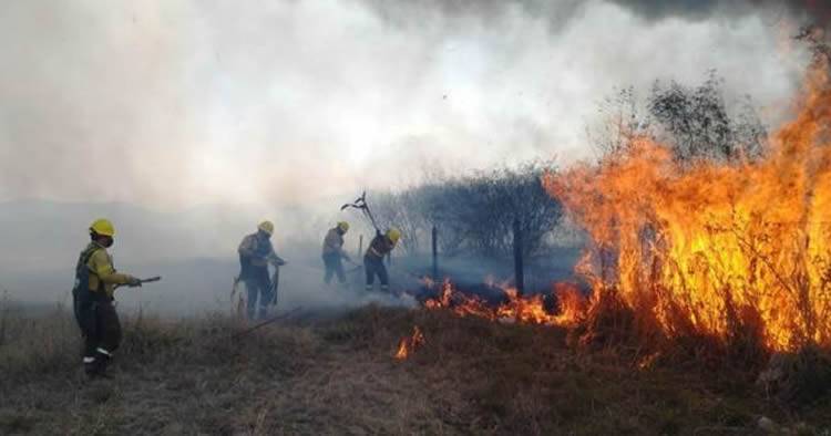 INCENDIOS FORESTALES: AÚN PERMANECEN ACTIVOS FOCOS EN JUJUY Y ENTRE RÍOS