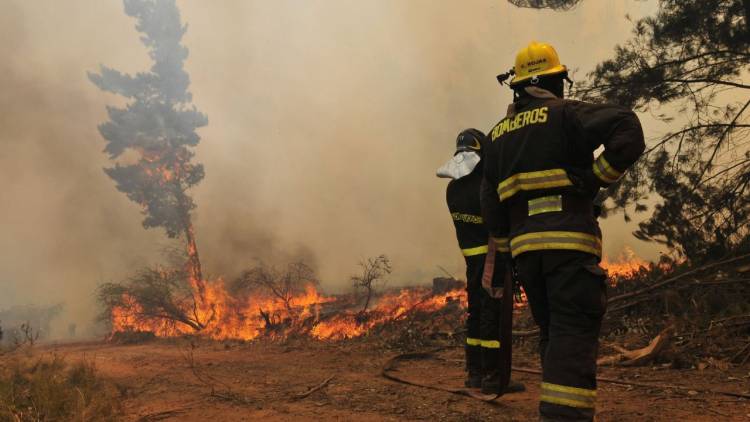 INCENDIOS FORESTALES: SE REGISTRAN FOCOS ACTIVOS EN NEUQUÉN, MENDOZA, BUENOS AIRES Y JUJUY