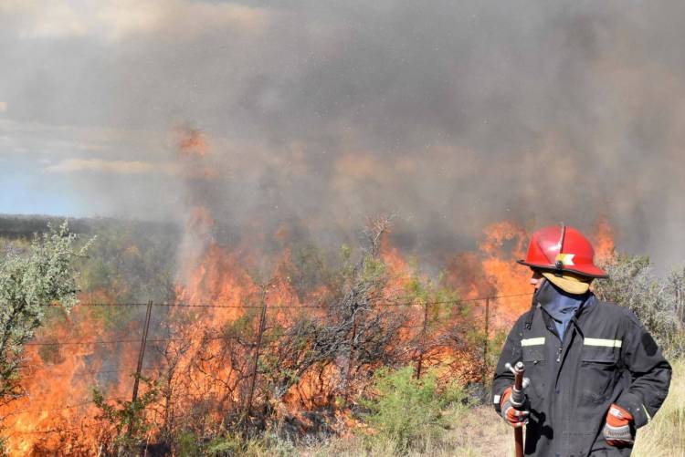 INCENDIOS FORESTALES: BUENOS AIRES, RÍO NEGRO Y CORRIENTES MANTIENEN FOCOS ACTIVOS 